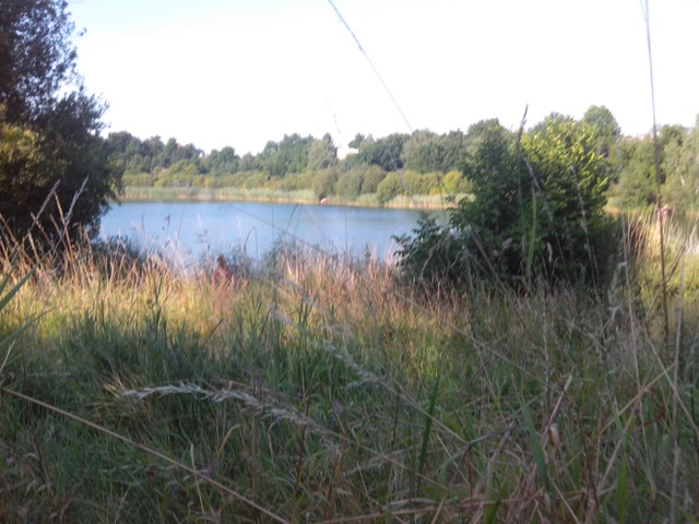 Image for Kreidebergsee 2014-95