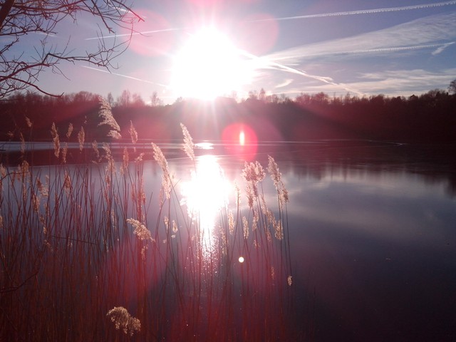 Image for Kreidebergsee 2015-01