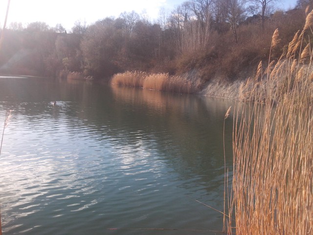 Image for Kreidebergsee 2015-04