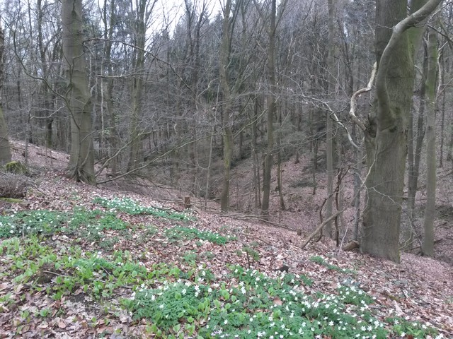 Image for Dalbekschlucht 2017-04