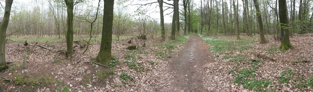 Image for Dalbekschlucht 2017-07