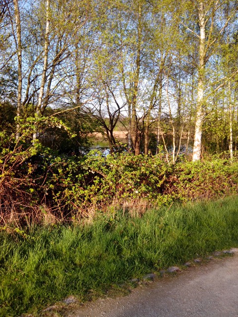 Image for Kreidebergsee 2014-03