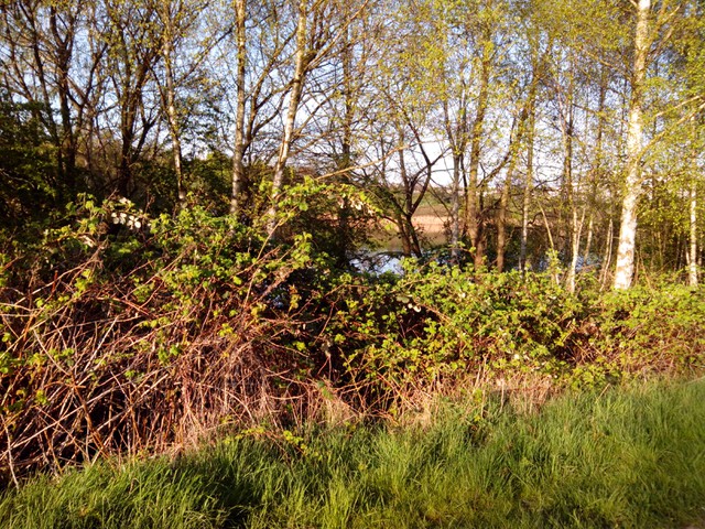 Image for Kreidebergsee 2014-04