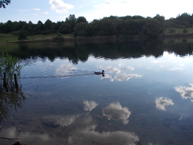 Image for Kreidebergsee 2014-17