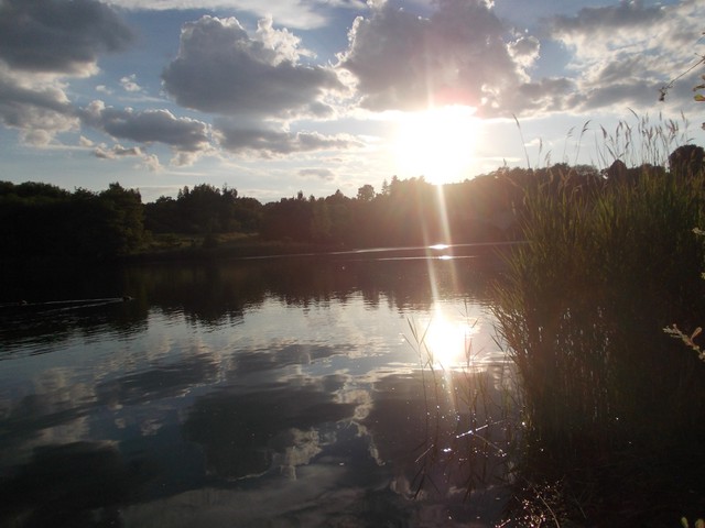 Image for Kreidebergsee 2014-26