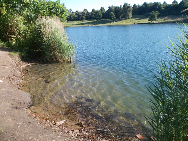 Image for Kreidebergsee 2014-33