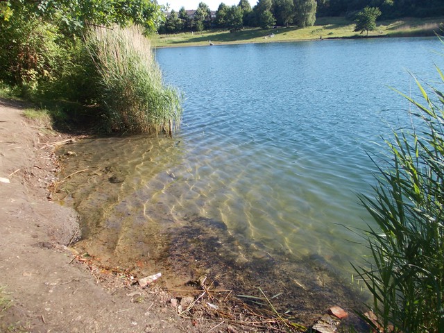 Image for Kreidebergsee 2014-34