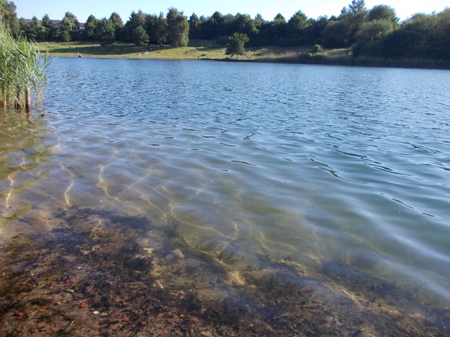 Image for Kreidebergsee 2014-35